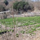 김주연농장 이미지