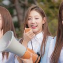 예인 이미지