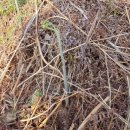 상술농장 이미지