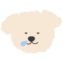 리사플라워 이미지