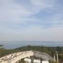 장안힐링투어 네이버블로그