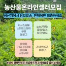 농산물 판매 농산물 온라인 판매 농산물 사이트 농산물 직거래 농산물 판매방법 오픈마켓 종류 소셜 커머스 위메프 브이월드 옥션 이커머스 이미지