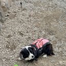 서들1길 | [문경/마성면] 통창에 산뷰인 대형 카페_카페서들