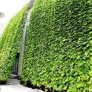 중계2.3동주민센터 이미지