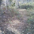 안골목장 이미지