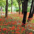 한대앞역 이미지