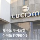 예원펜션 | 혼자 제주도여행 제주도 펜션 제주도숙소 추천 산방산근처 숙소 루시드엠 305호