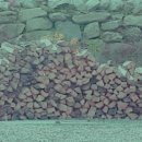 늘솔길민박 이미지