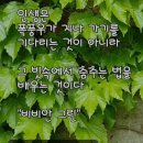 동경약품 이미지