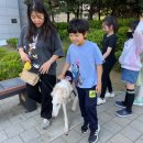 더 사랑스럽개 이미지