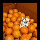 햇살농장2 이미지