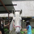 속사초등학교 이미지