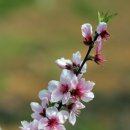 탑정마을 이미지