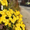 내흥경로당 이미지