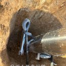 이리삼성초등학교 이미지