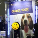 모델독 | 모델독, 킨텍스 애견박람회를 다녀오다♥