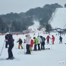 &#39;3월인데 강원 주요 스키장에 수천 명&#39;…설악산·오대산도 &#39;북적&#39; 이미지