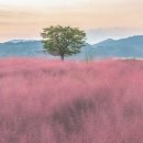 기억 여행- 즐거운 이미지