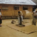 수원-1953 이미지