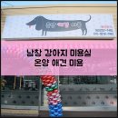 온양애견미용 이미지