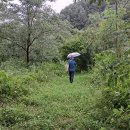 상전체련공원 이미지