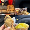 광주 첨단 붕어빵 맛집 불타는잉어빵! 인생붕어빵 존맛 ㅇㅈ (나만 알고싶..!)