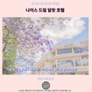 나이스호텔 | 나이스 드림 달랏 호텔 후기 달랏 꿀잠 보장 숙소