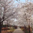 호수로126번길 이미지