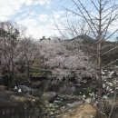 덕천서원화장실 | 경남 거창 가볼만한곳 용원정 쌀다리 벚꽃 방문기