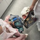 적다 만 9월 기록