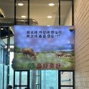 올타 | 진주혁신맛집 올타 축산 가성비 있는 점심특선 후기