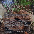 황제능이버섯 백숙 이미지