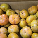 광산구-038 이미지