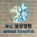 아이앤지동물병원 이미지