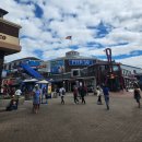 오라클빌딩 | 샌프란시스코 여행 후기와 맛집 - 금문교 / 시청 / 페리 빌딩 / 슈퍼두퍼 버거 / 포케볼 / 더 멜트