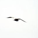 고은소아청소년과의원 이미지