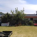 잔디밭민박 이미지