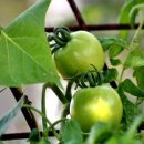 김삿갓식당 이미지