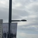 타카치 스트링 콰르텟 내한공연 | [수원 SK아트리움] 뉴욕 필하모닉 스트링 콰르텟 내한공연 관람 후기(12. 5.)