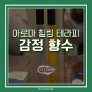 나의 향을 찾는 힐링 아로마테라피 | 문래동 감정향수 만들기 클래스 | 아로마테라피 힐링향수 원데이 수업 후기