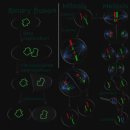 대흥목장 이미지