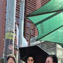 강남-235 이미지