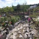 주문진펜션 이미지