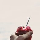 경희태권도 이미지