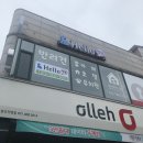 헬로멍뭉 이미지