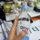 아싸살아있네 | 제주도여행 제주시 맛집 아싸살아있네 활어횟집 (구문쟁이 능성어 참돔유비끼 다금바리 고등어 대하...