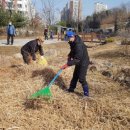 금빛환경 이미지