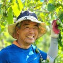 스테이 다래 이미지