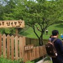 마루목장 이미지