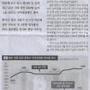 보니기획